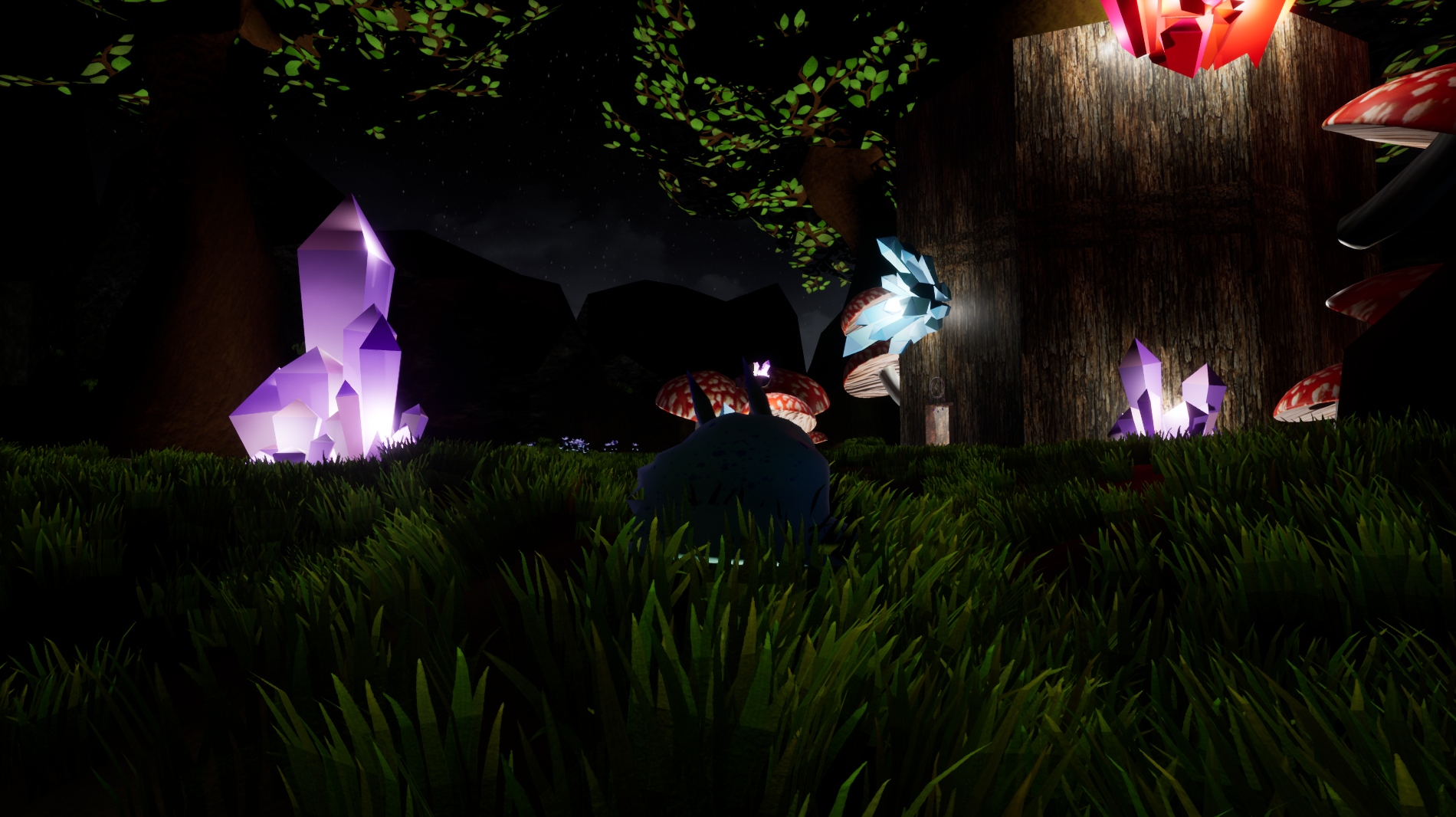 Enchanted Forest